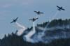 fraserblues_055