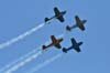fraserblues_074