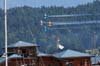 fraserblues_077