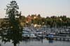 seacav09_085