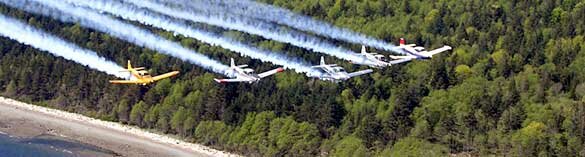The Fraser Blues in formation