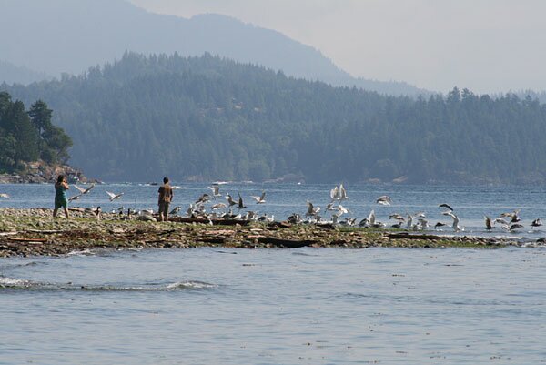 seacav09_281
