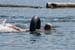 seacav09_367