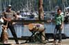 loggersports_030