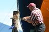 loggersports_059