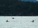 seacav07c_0017