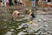 Keats swim 210