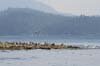 seacav09_275